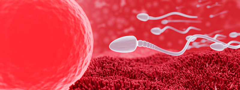 Fertility Awareness Method