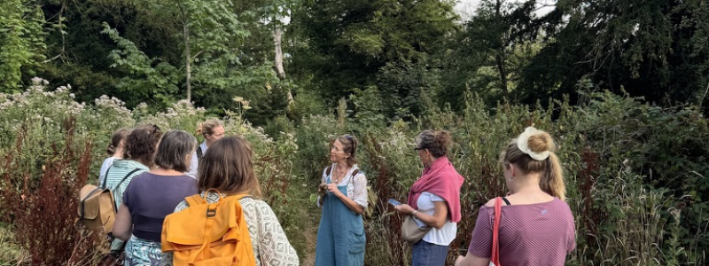 bringing the ground to life herb foraging walk